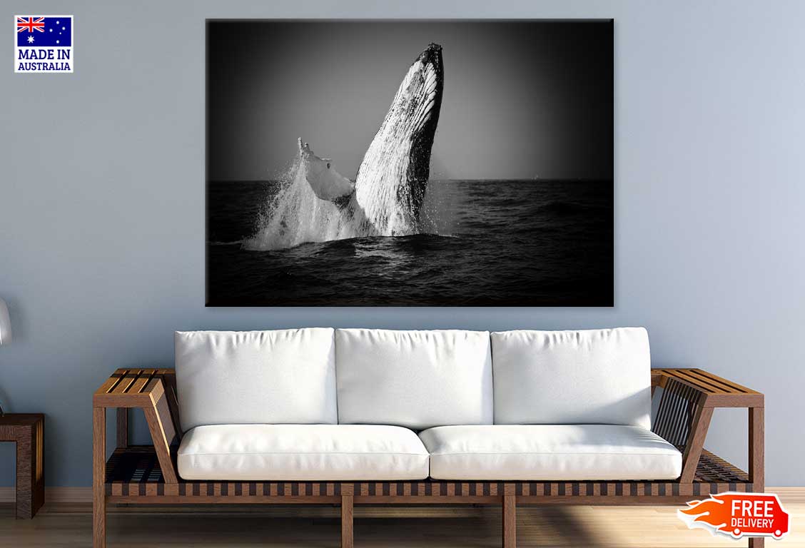 Whale on Sea B&W View Photograph Print 100% Australian Made