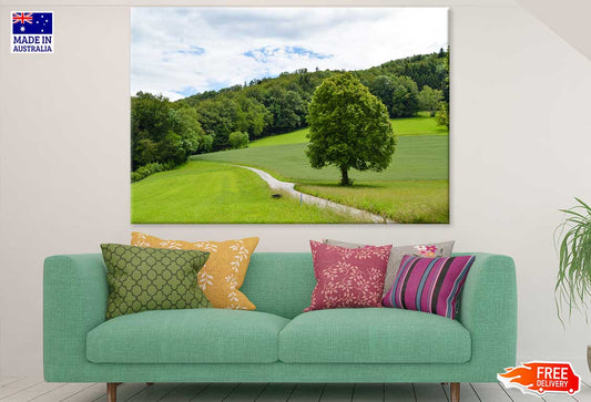 Huge Tree & Forest in Meadow Photograph Print 100% Australian Made