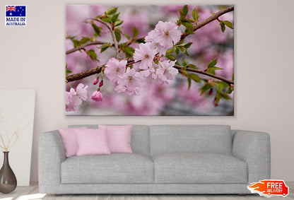 Pink Cherry Blossom Flowers with Leaves Photograph Print 100% Australian Made