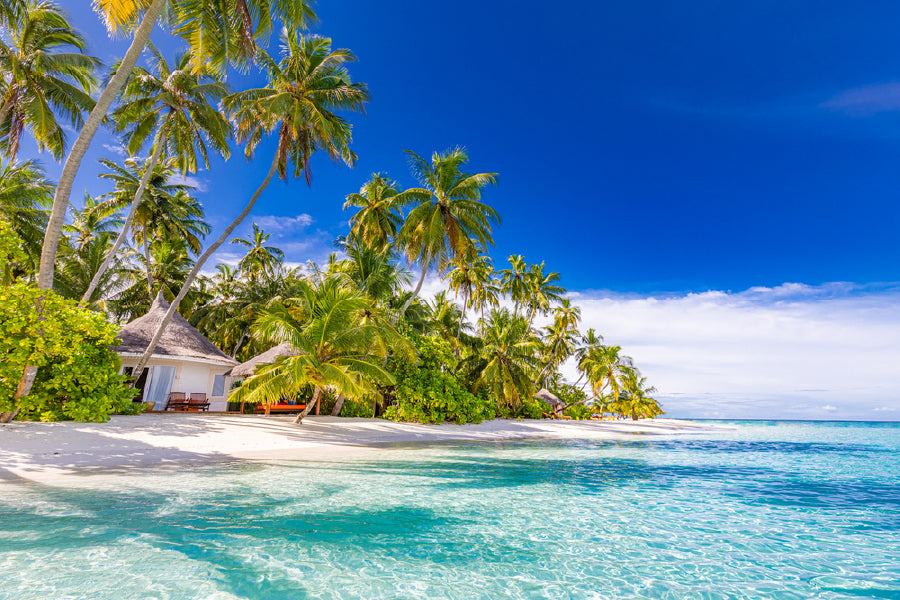 Beach Villa & Palm Trees near Sea Photograph Print 100% Australian Made