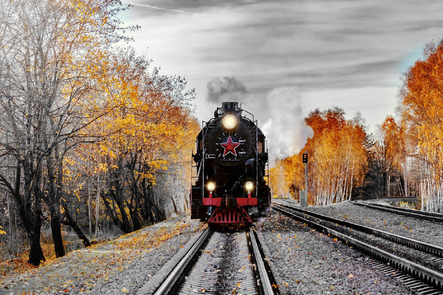 B&W Train & Autumn Trees Photograph Home Decor Premium Quality Poster Print Choose Your Sizes