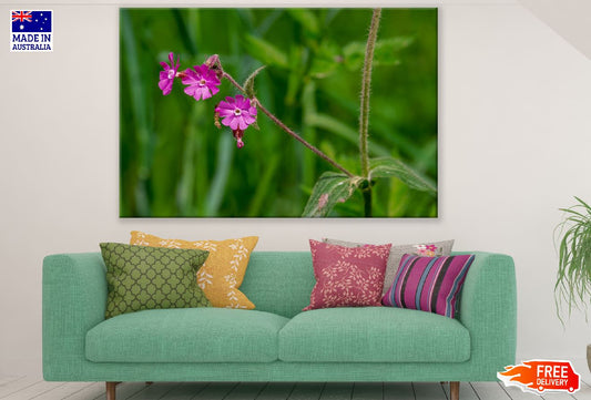 Purple Spring Flowers Closeup Photograph Print 100% Australian Made