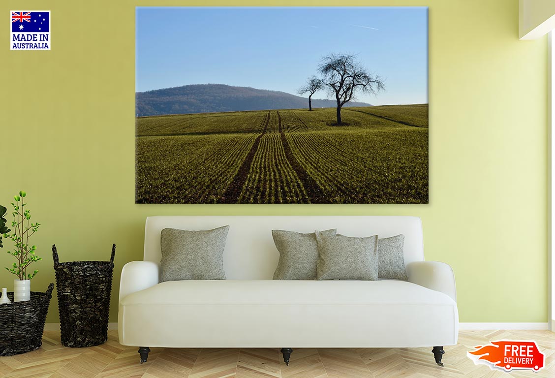 Field & Dry Trees Photograph Print 100% Australian Made