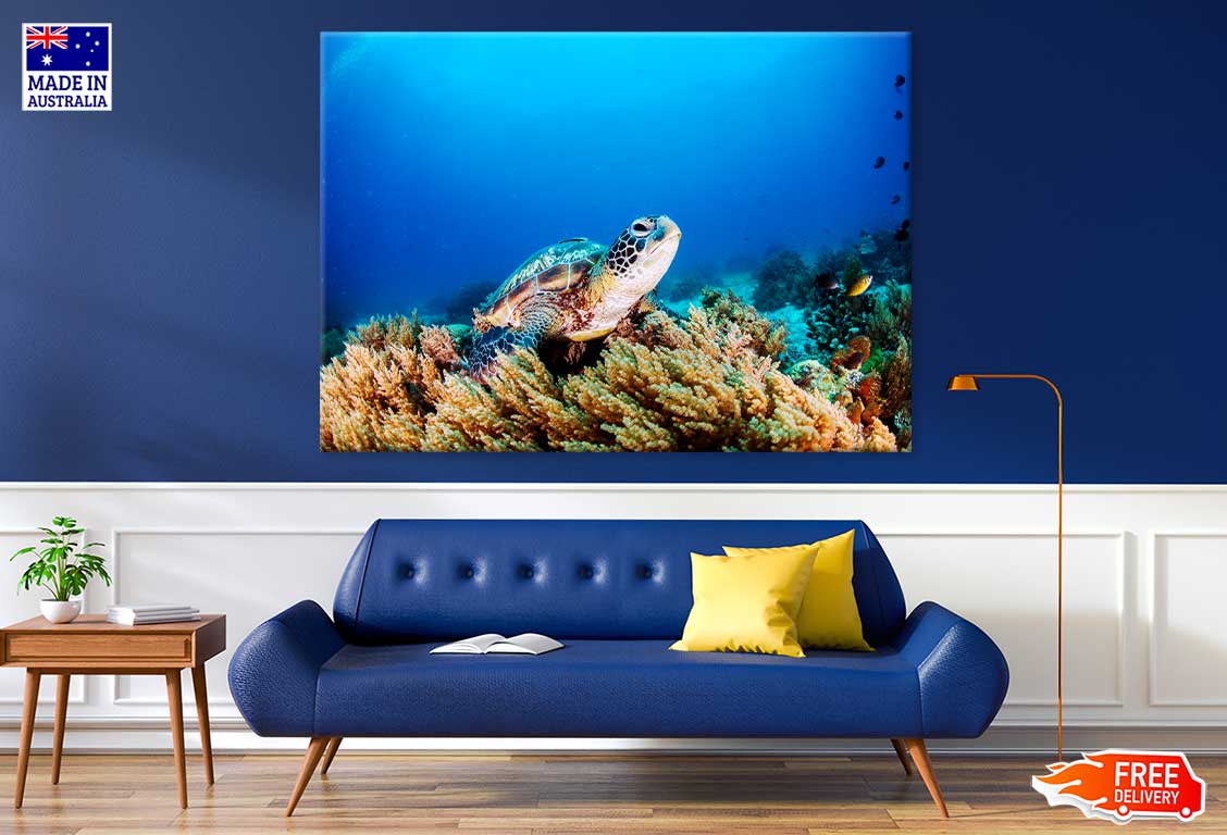 Sea Turtle Underwater Photograph Print 100% Australian Made