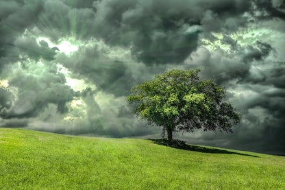 Tree on Mountain Under Dark Clouds Photograph Print 100% Australian Made