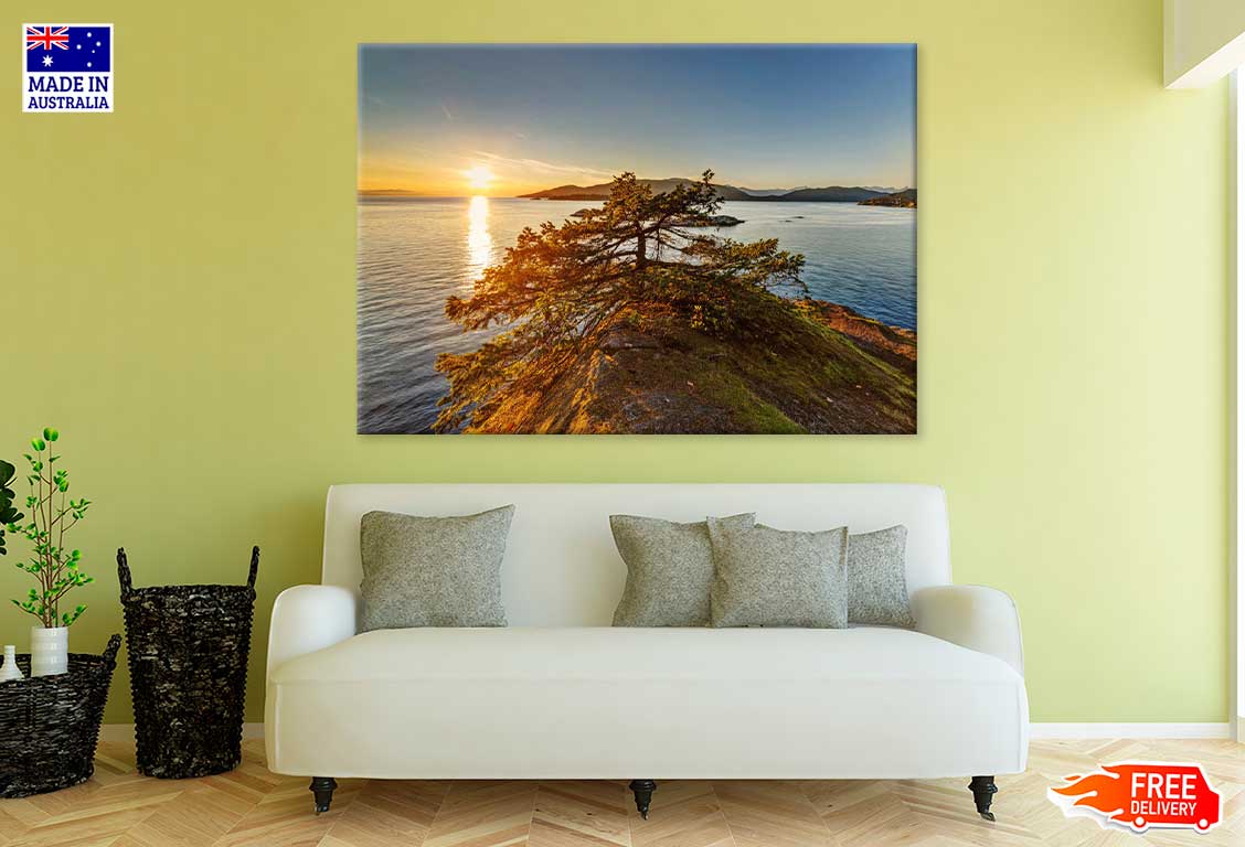 Tree on Mountain Sea Coast Photograph Print 100% Australian Made