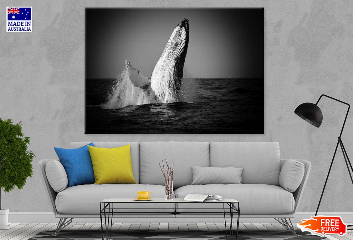 Whale on Sea B&W View Photograph Print 100% Australian Made