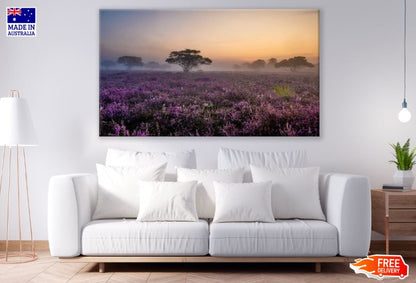 Lupine Fields Print 100% Australian Made