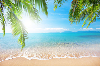 Palm Leaves Near Sandy Blue Sea Photograph Print 100% Australian Made