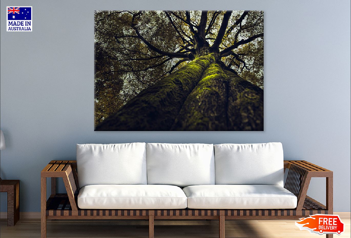 Thick Old Tree View From Below Photograph Print 100% Australian Made