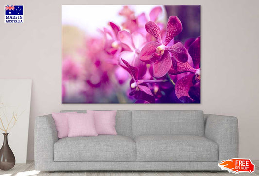 Purple Orchid Flower Closeup View Painting Print 100% Australian Made