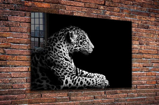 Leopard B&W View Print Tempered Glass Wall Art 100% Made in Australia Ready to Hang