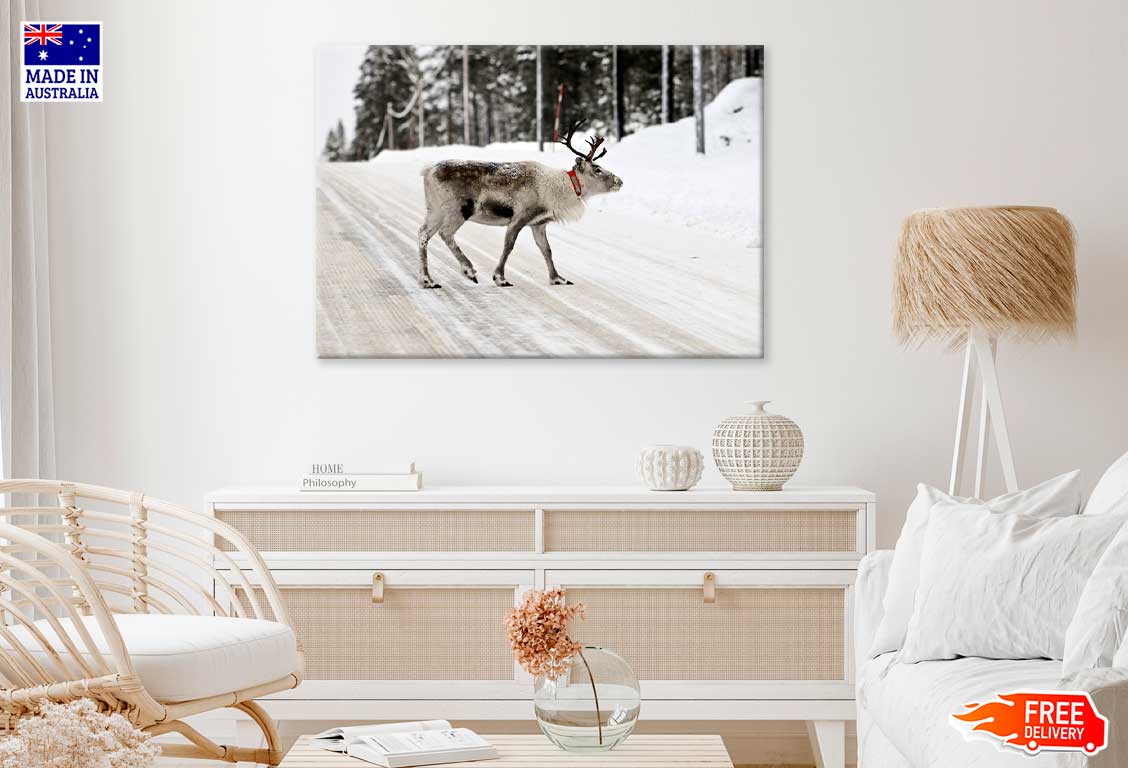 Deer in Winter Landscape Road View Photograph Print 100% Australian Made