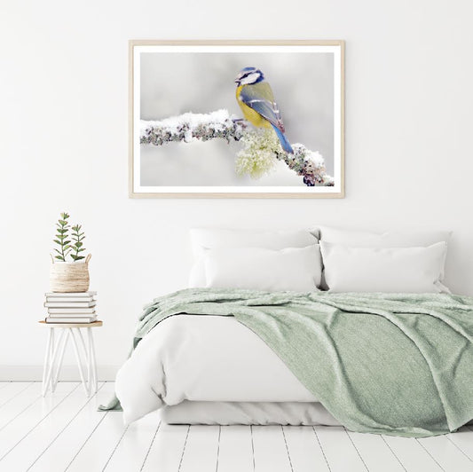 Little Bird on Tree Photograph Home Decor Premium Quality Poster Print Choose Your Sizes