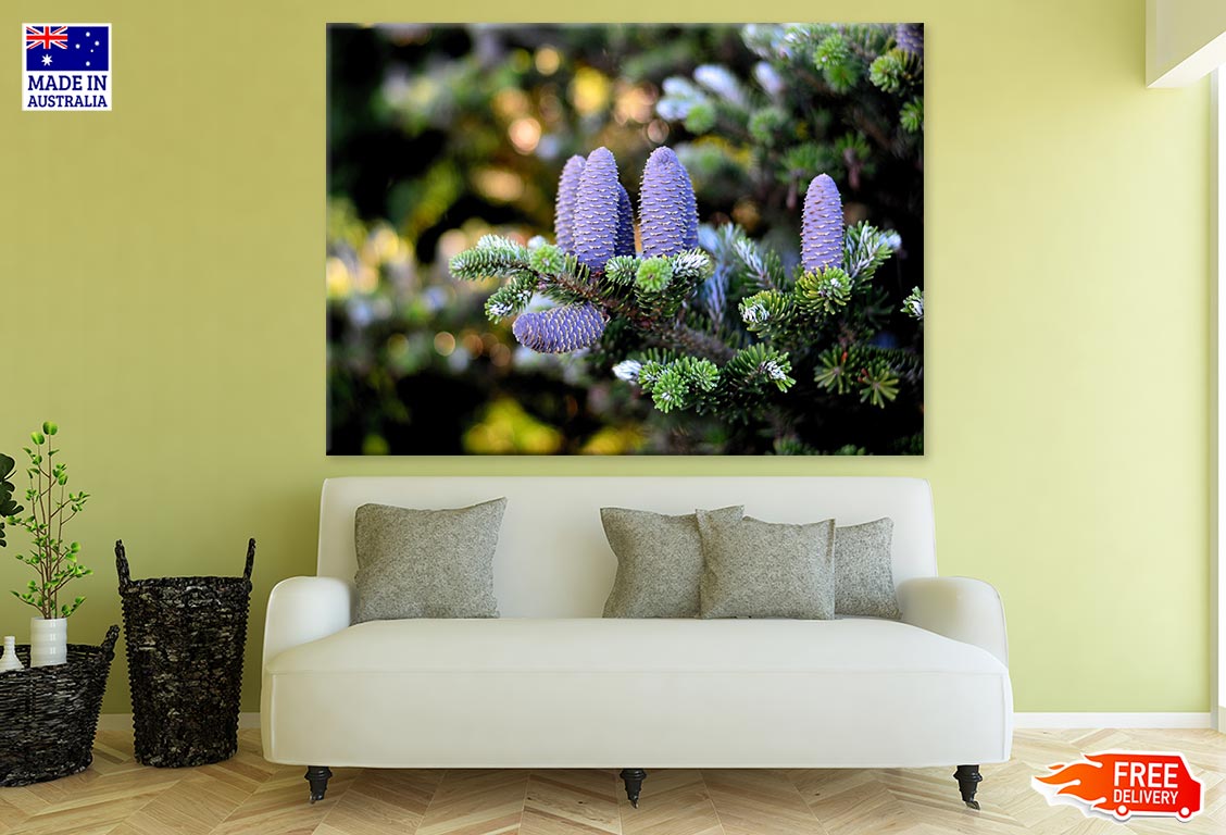 Purple Pinecone Closeup Photograph Print 100% Australian Made