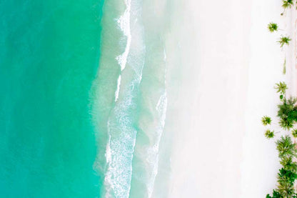 Bella Home Blue Sea & Palm Trees Aerial View Print Canvas Ready to hang