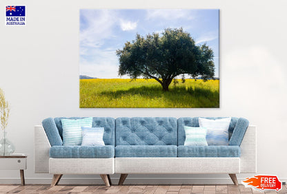 Lush Green Single Tree in Field Photograph Print 100% Australian Made