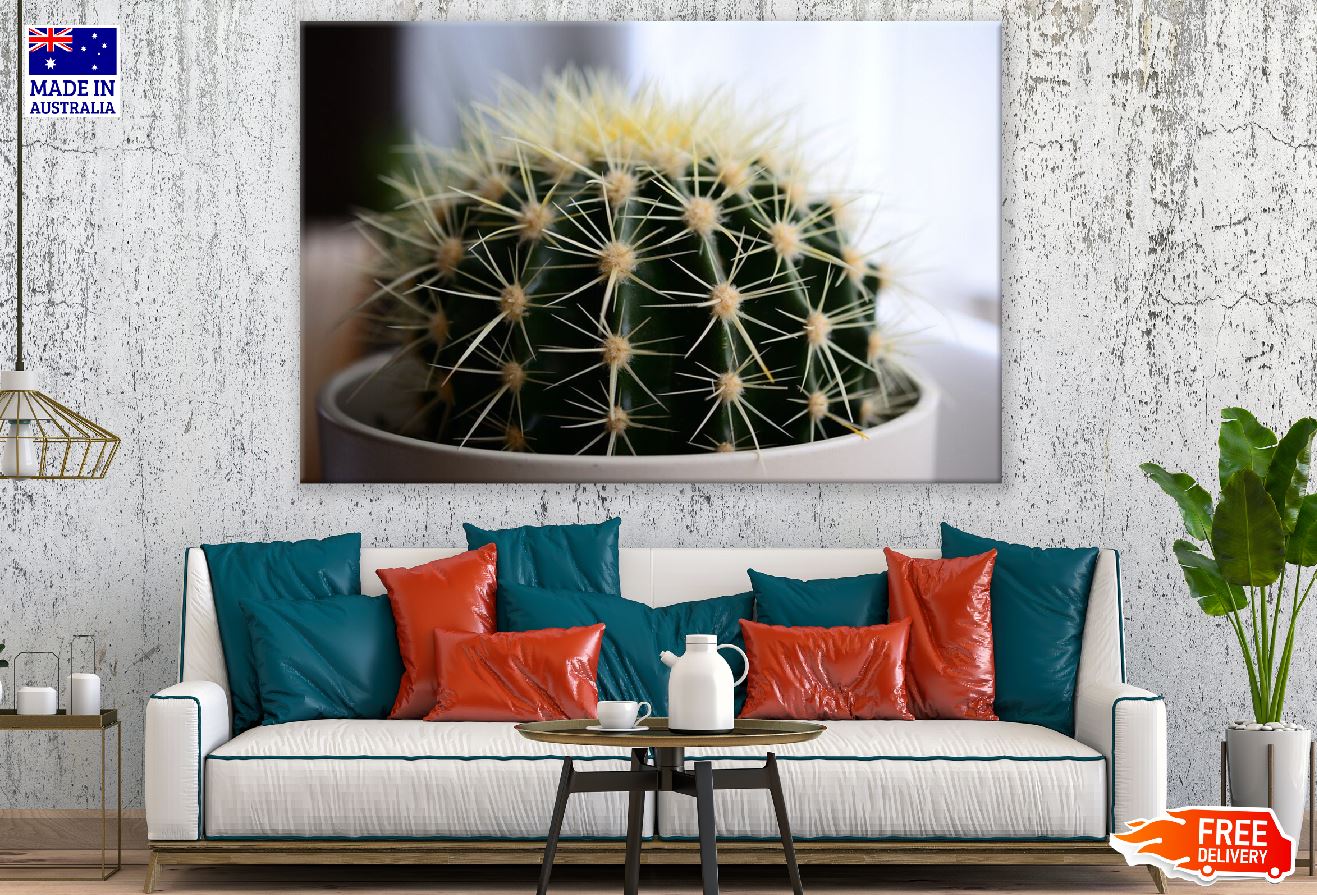 Small Green Cactus Closeup Photograph Print 100% Australian Made