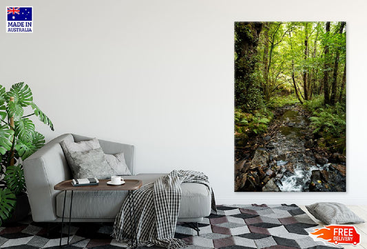 Landscape Rain Forest Scenery View Photograph Print 100% Australian Made