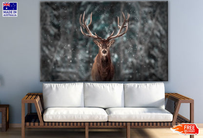 Deer Portrait & Forest Background Photograph Print 100% Australian Made