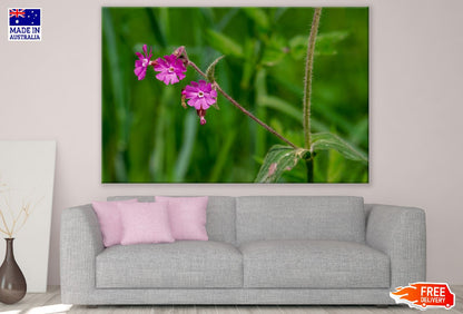 Purple Spring Flowers Closeup Photograph Print 100% Australian Made