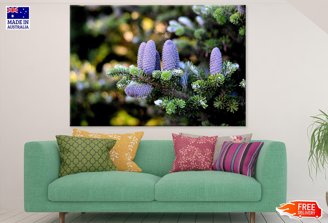 Purple Pinecone Closeup Photograph Print 100% Australian Made