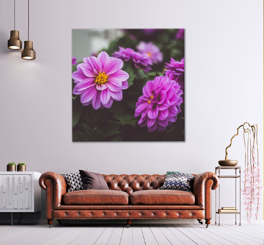 Square Canvas Pinnate Dahlia Flowers View Photograph High Quality Print 100% Australian Made