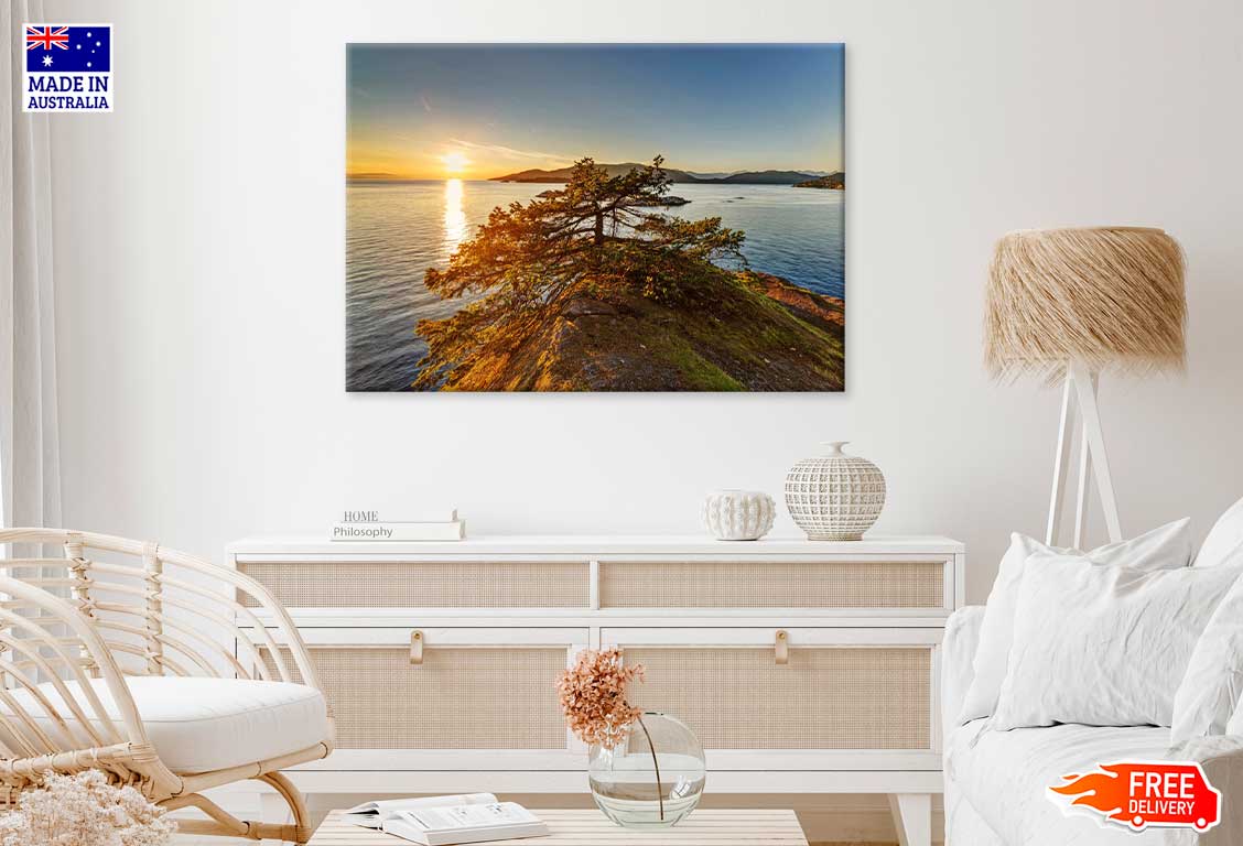 Tree on Mountain Sea Coast Photograph Print 100% Australian Made