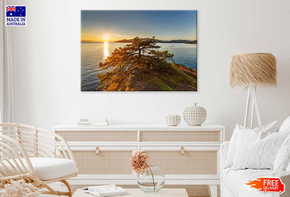 Tree on Mountain Sea Coast Photograph Print 100% Australian Made