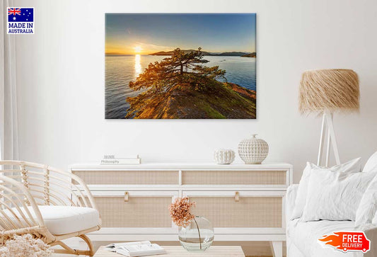 Tree on Mountain Sea Coast Photograph Print 100% Australian Made