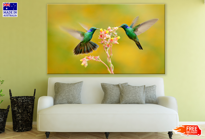 Humming Birds Drinking Nectar from Flowers Print 100% Australian Made