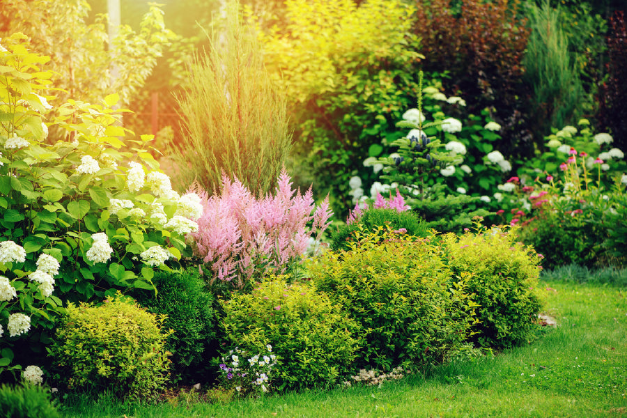 Mixed Flower Garden Photograph Print 100% Australian Made