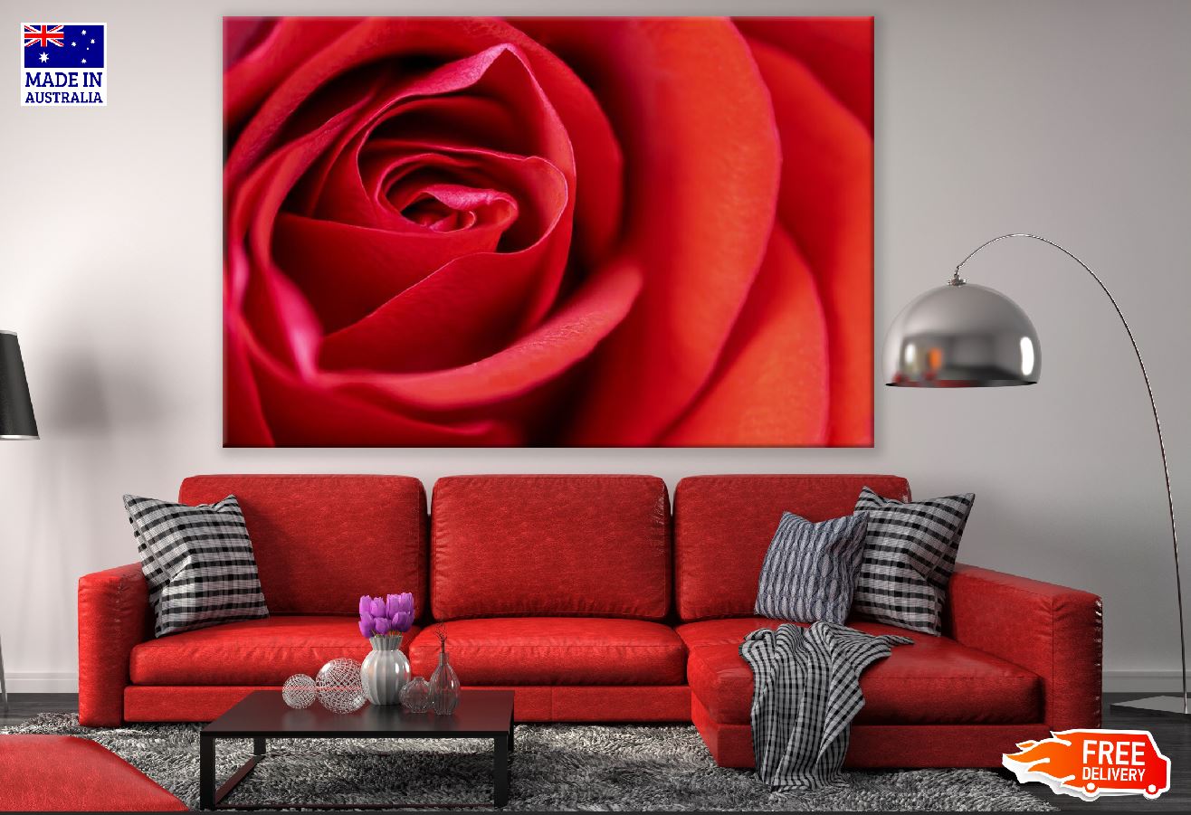 Red Rose Flower Petals Photograph Print 100% Australian Made