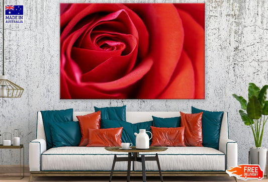 Red Rose Flower Petals Photograph Print 100% Australian Made