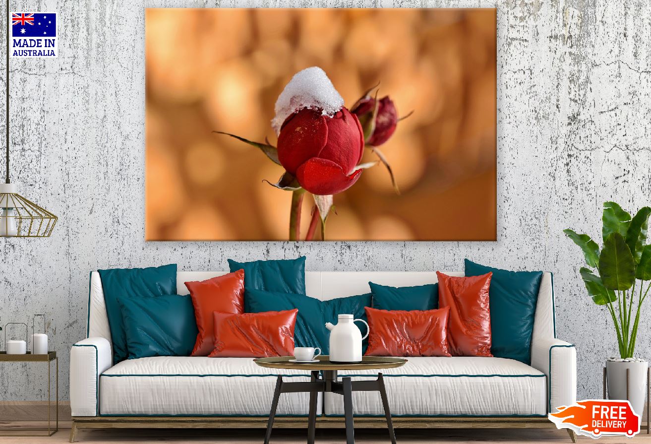 Red Rose Bud in the Snow Closeup Photograph Print 100% Australian Made