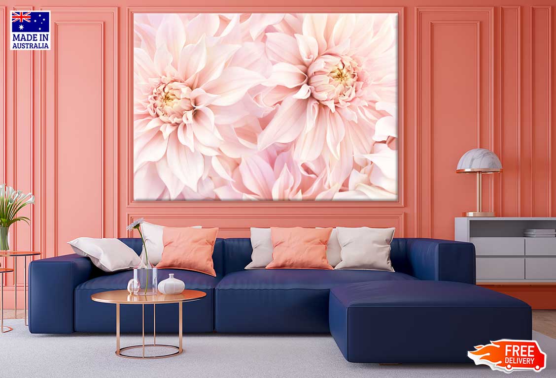 Pink Dahlia Flowers Closeup View Photograph Print 100% Australian Made