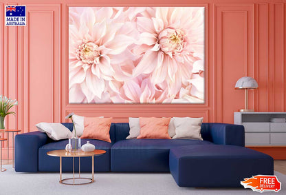 Pink Dahlia Flowers Closeup View Photograph Print 100% Australian Made