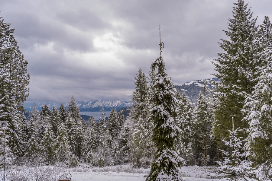 Snow Covered Forest & Mountains Photograph Print 100% Australian Made