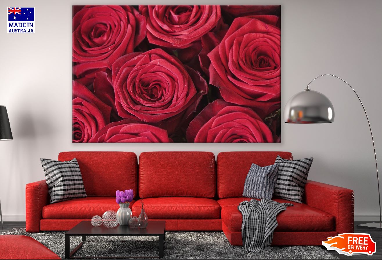 Red Roses Flower Closeup Photograph Print 100% Australian Made