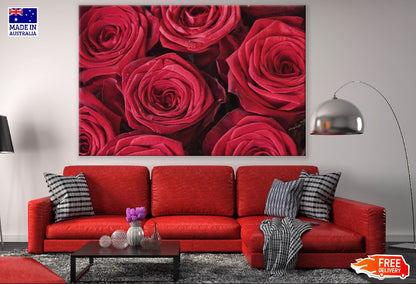 Red Roses Flower Closeup Photograph Print 100% Australian Made