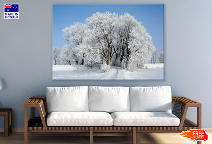 Snow Covered Tree Stands Photograph Print 100% Australian Made