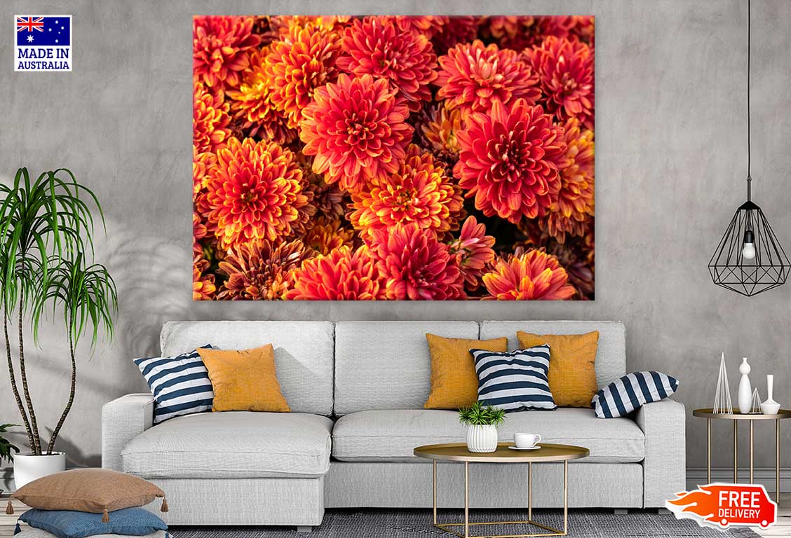 Orange Chrysanthemum Flowers View Photograph Print 100% Australian Made