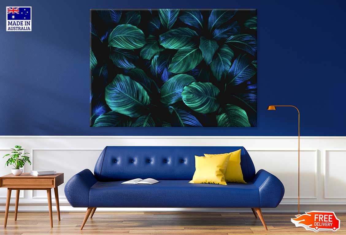 Blue Green Leaves Closeup View Photograph Print 100% Australian Made
