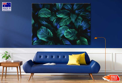 Blue Green Leaves Closeup View Photograph Print 100% Australian Made