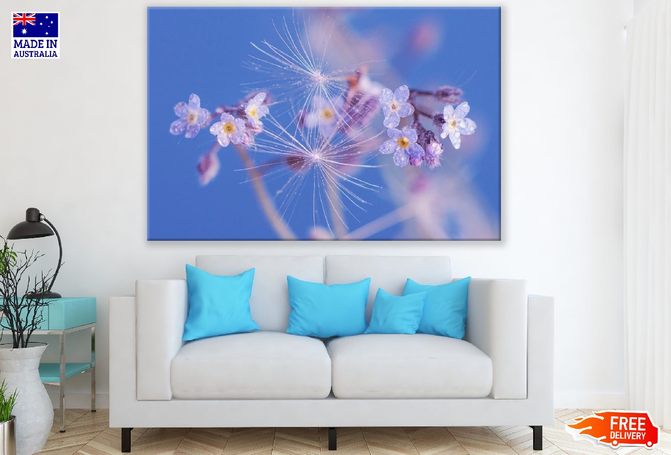 Dandelion With Blue Flower Photograph Print 100% Australian Made