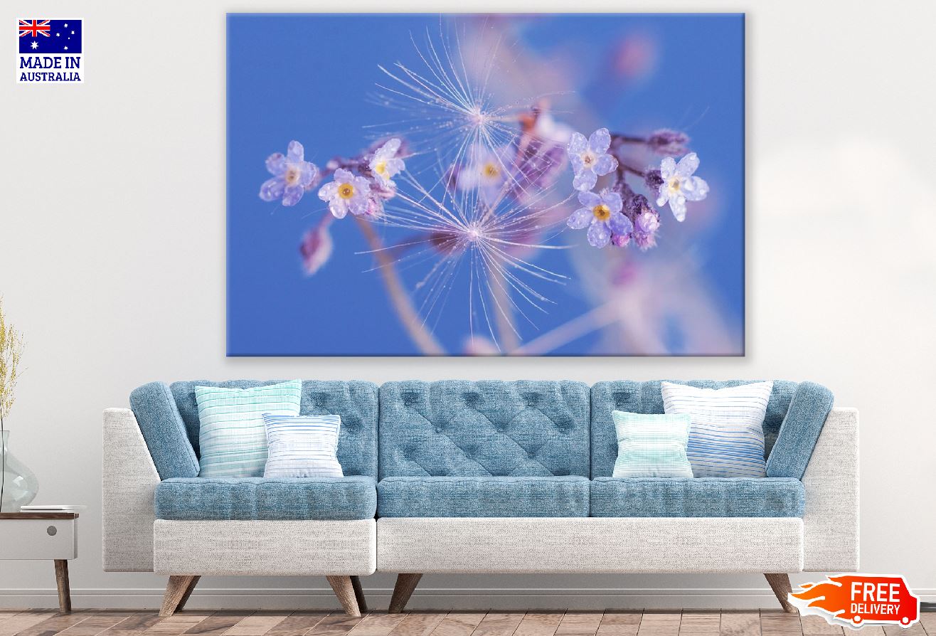 Dandelion With Blue Flower Photograph Print 100% Australian Made