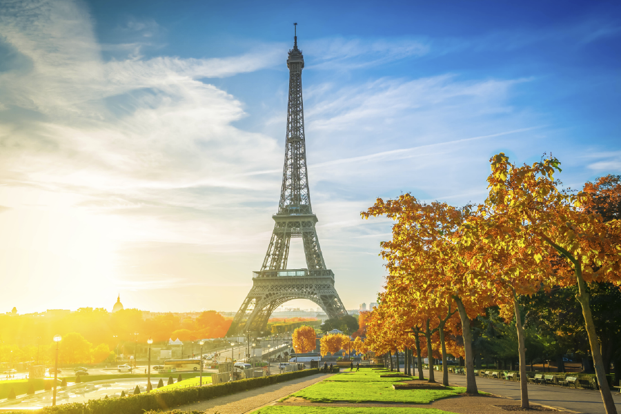 Eiffel Tower & Trees Sunset View Photograph Print 100% Australian Made
