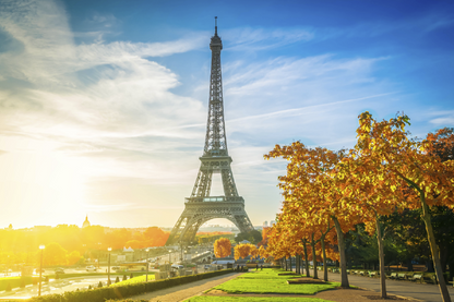 Eiffel Tower & Trees Sunset View Photograph Print 100% Australian Made