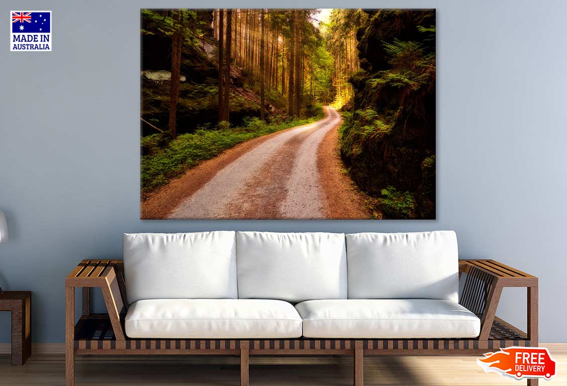 Road in Forest Photograph Print 100% Australian Made