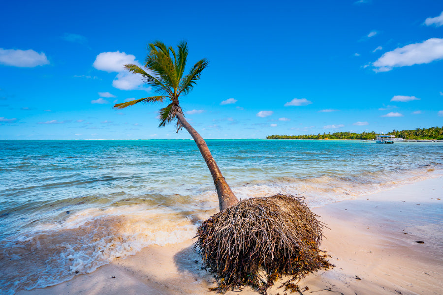 Coconut Palm Tree on Sea View Photograph Print 100% Australian Made